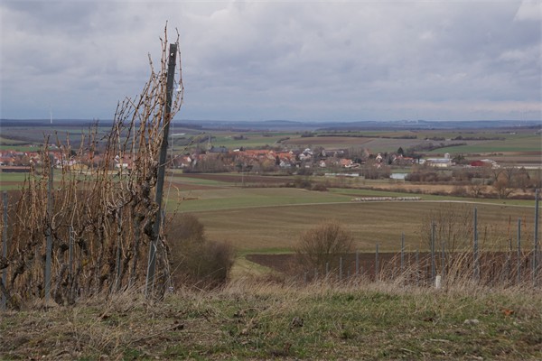 DSC08668